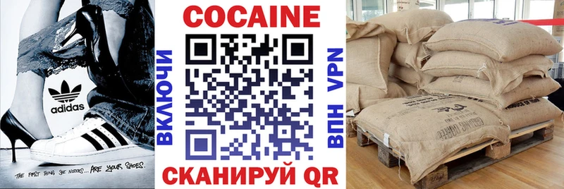 купить закладку  Николаевск-на-Амуре  COCAIN FishScale 