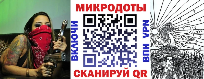 закладка  Николаевск-на-Амуре  Псилоцибиновые грибы Psilocybine cubensis 